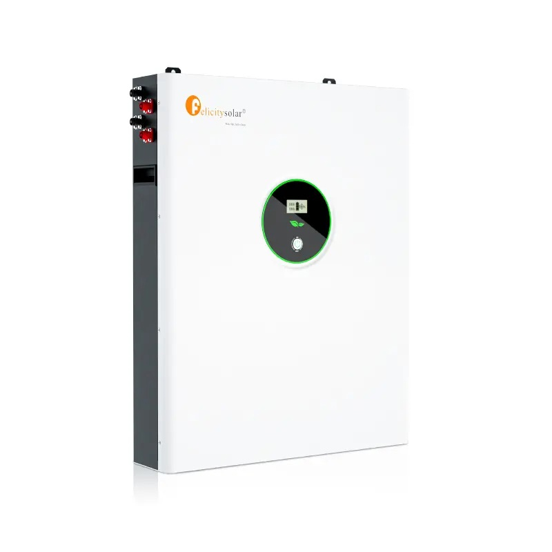 Felicity 10KWh LPBA48200 LiFePO4 batteri